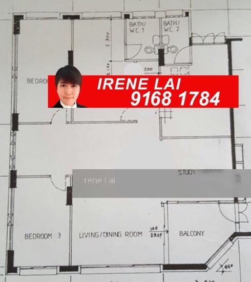 Blk 236 Pasir Ris Street 21 (Pasir Ris), HDB Executive #141896222